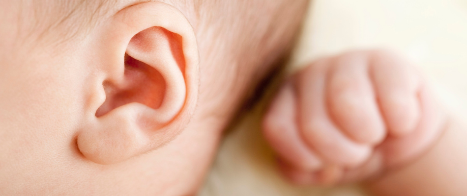 baby's ear