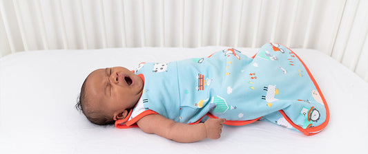 baby sleeping in baby sleeping bag