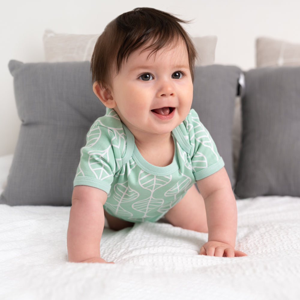 100% Organic Short Sleeve Baby Body - 5-pack_5_430